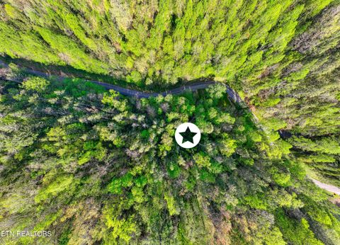 Tiny photo for Cartertown Rd, Gatlinburg, TN 37738 (MLS # 1337524)