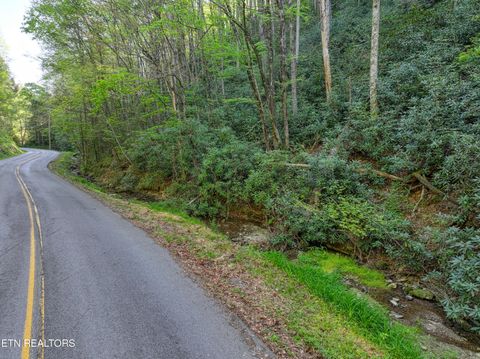 Tiny photo for Cartertown Rd, Gatlinburg, TN 37738 (MLS # 1337524)