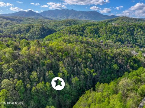 Tiny photo for Cartertown Rd, Gatlinburg, TN 37738 (MLS # 1337524)