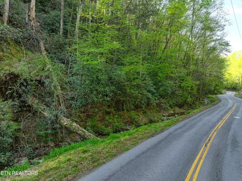 Tiny photo for Cartertown Rd, Gatlinburg, TN 37738 (MLS # 1337524)