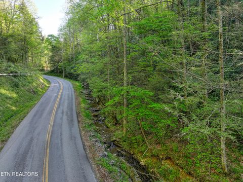 Tiny photo for Cartertown Rd, Gatlinburg, TN 37738 (MLS # 1337524)