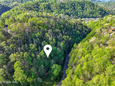 Tiny photo for Cartertown Rd, Gatlinburg, TN 37738 (MLS # 1337524)
