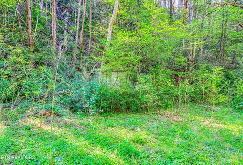 Tiny photo for Cartertown Rd, Gatlinburg, TN 37738 (MLS # 1337524)