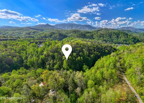Tiny photo for Cartertown Rd, Gatlinburg, TN 37738 (MLS # 1337524)