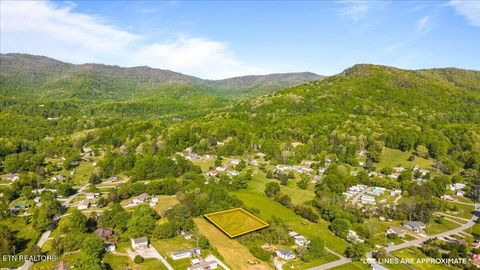 Tiny photo for Park Rd, Caryville, TN 37714 (MLS # 1338103)