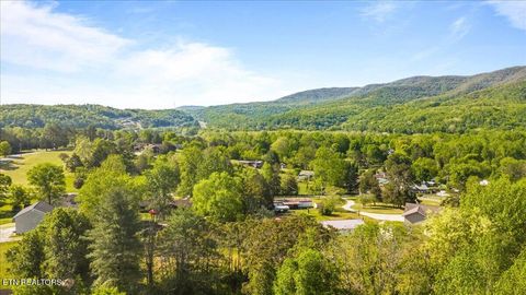 Tiny photo for Park Rd, Caryville, TN 37714 (MLS # 1338103)