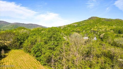 Tiny photo for Park Rd, Caryville, TN 37714 (MLS # 1338103)