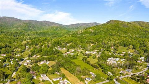 Tiny photo for Park Rd, Caryville, TN 37714 (MLS # 1338103)