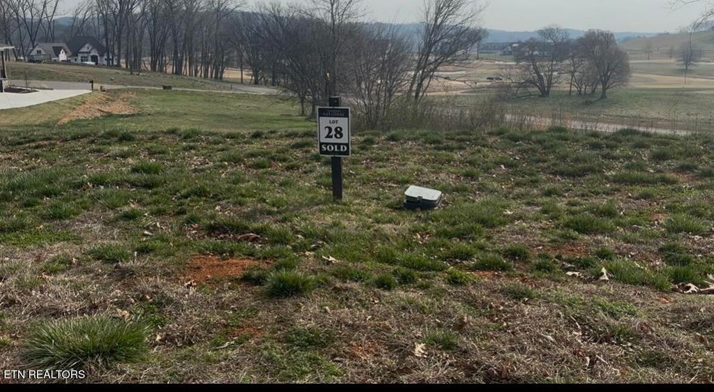 Photo of 313 17Th Drive, Loudon, TN 37774 (MLS # 1331742)