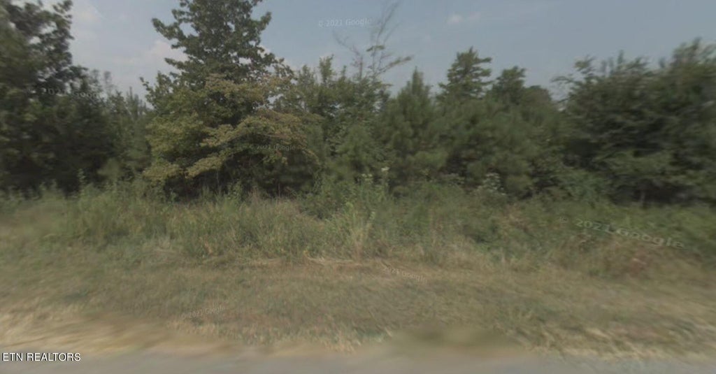 Photo of Torbett Rd, Spring City, TN 37381 (MLS # 1279506)