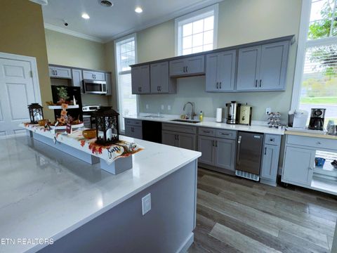 Tiny photo for 223 Nikki Street, Sharps Chapel, TN 37866 (MLS # 1320685)