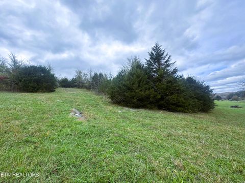 Tiny photo for 223 Nikki Street, Sharps Chapel, TN 37866 (MLS # 1320685)