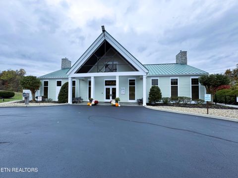 Tiny photo for 223 Nikki Street, Sharps Chapel, TN 37866 (MLS # 1320685)