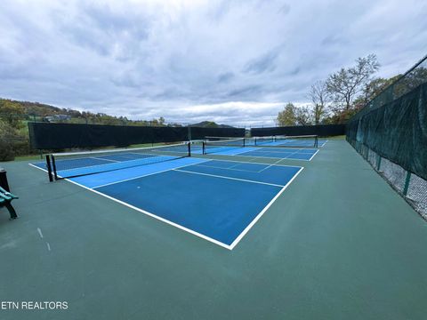 Tiny photo for 223 Nikki Street, Sharps Chapel, TN 37866 (MLS # 1320685)