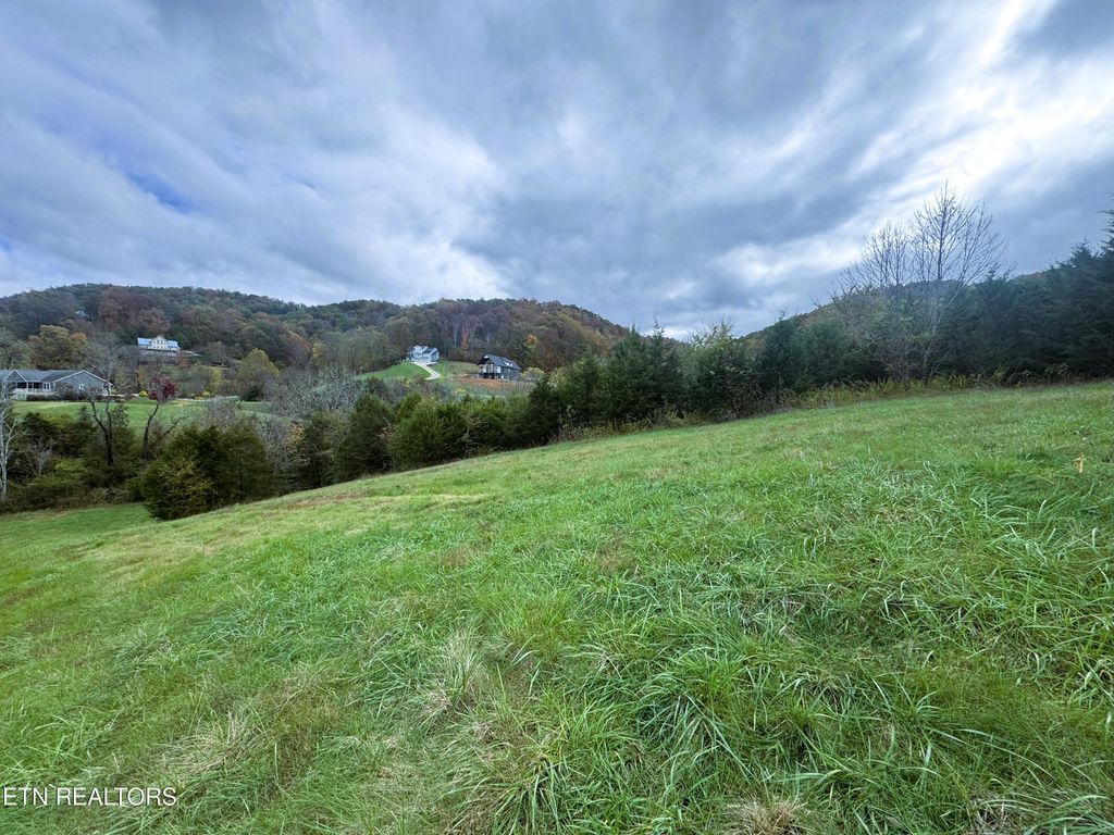 Photo of 223 Nikki Street, Sharps Chapel, TN 37866 (MLS # 1320685)