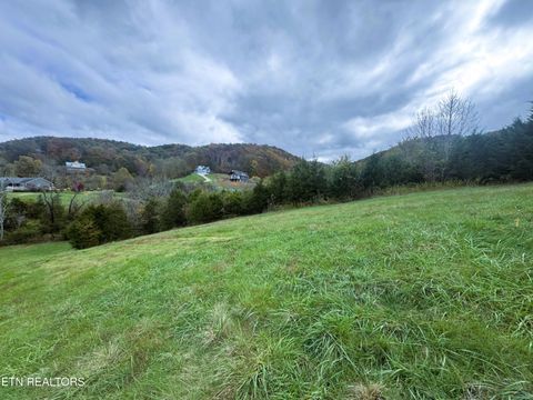 Tiny photo for 223 Nikki Street, Sharps Chapel, TN 37866 (MLS # 1320685)