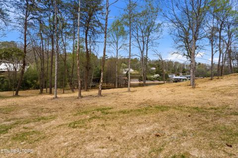 Tiny photo for 1 Headricks Cove, Lenoir City, TN 37772 (MLS # 1336308)