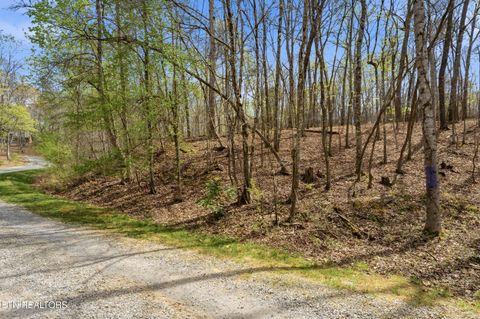 Tiny photo for 1 Headricks Cove, Lenoir City, TN 37772 (MLS # 1336308)