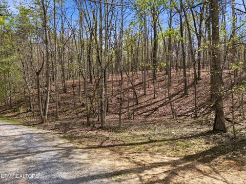 Tiny photo for 1 Headricks Cove, Lenoir City, TN 37772 (MLS # 1336308)
