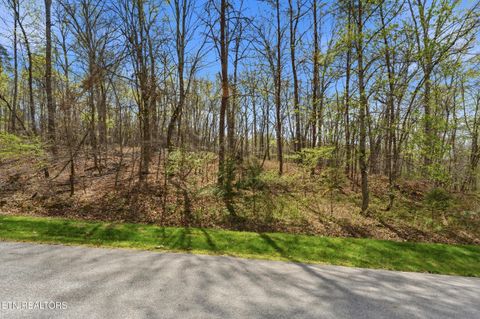 Tiny photo for 1 Headricks Cove, Lenoir City, TN 37772 (MLS # 1336308)