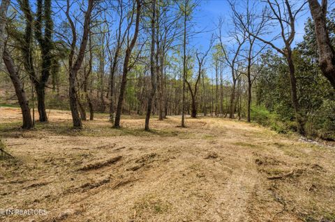 Tiny photo for 1 Headricks Cove, Lenoir City, TN 37772 (MLS # 1336308)