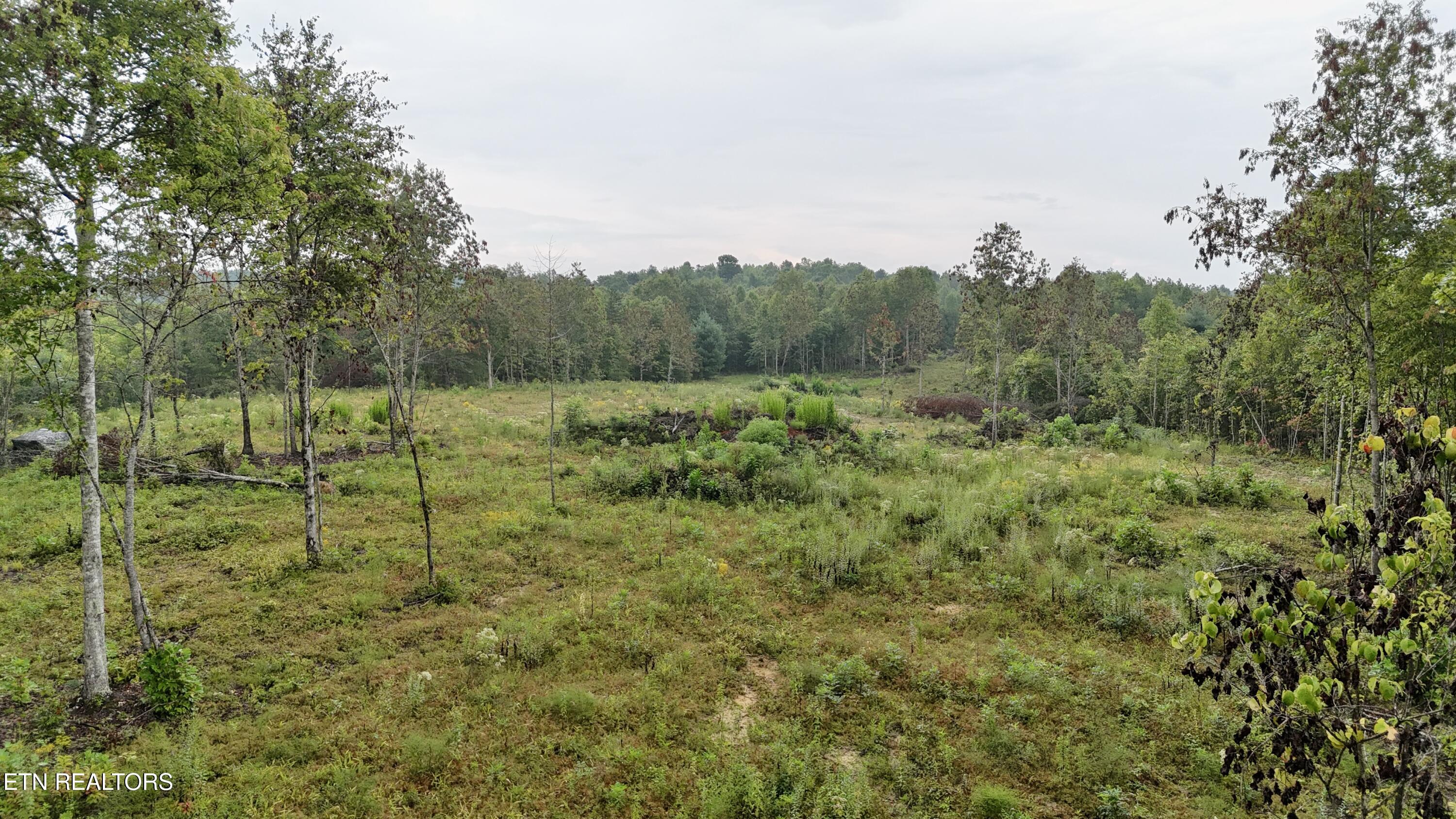 N of Adams Ridge Rd