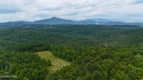 N of Adams Ridge Rd Lancing TN 37770
