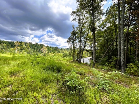 Tiny photo for 107 Chestnut Mountain Rd, Reliance, TN 37369 (MLS # 1359530)