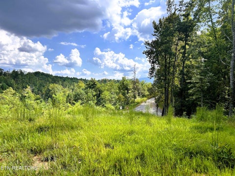 Tiny photo for 107 Chestnut Mountain Rd, Reliance, TN 37369 (MLS # 1359530)