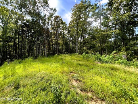 Tiny photo for 107 Chestnut Mountain Rd, Reliance, TN 37369 (MLS # 1359530)