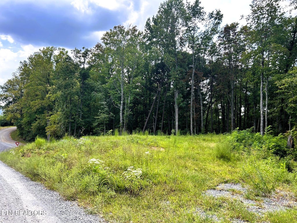 Photo of 107 Chestnut Mountain Rd, Reliance, TN 37369 (MLS # 1359530)