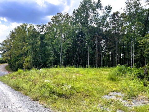 Tiny photo for 107 Chestnut Mountain Rd, Reliance, TN 37369 (MLS # 1359530)