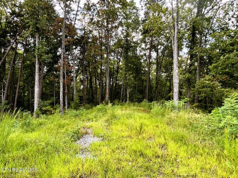 Tiny photo for 107 Chestnut Mountain Rd, Reliance, TN 37369 (MLS # 1359530)