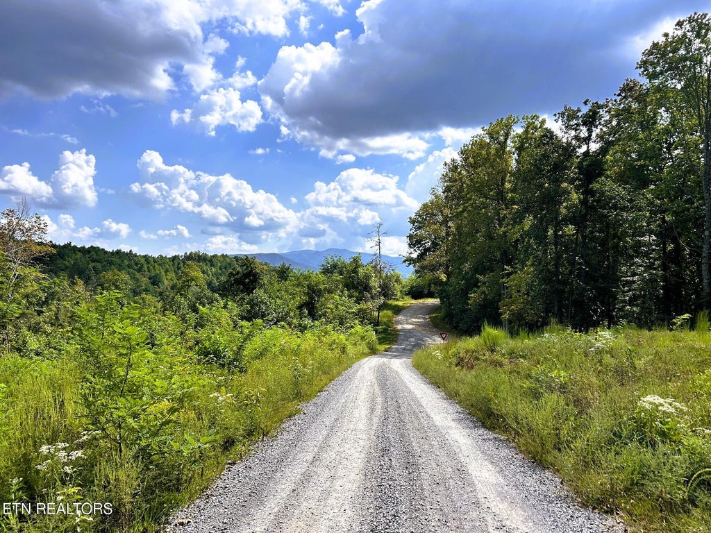 Photo of 107 Chestnut Mountain Rd, Reliance, TN 37369 (MLS # 1359530)
