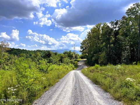 Photo of 107 Chestnut Mountain Rd, Reliance, TN 37369 (MLS # 1359530)