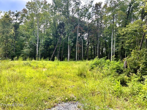 Tiny photo for 107 Chestnut Mountain Rd, Reliance, TN 37369 (MLS # 1359530)