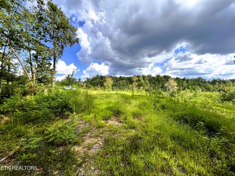 Tiny photo for 107 Chestnut Mountain Rd, Reliance, TN 37369 (MLS # 1359530)