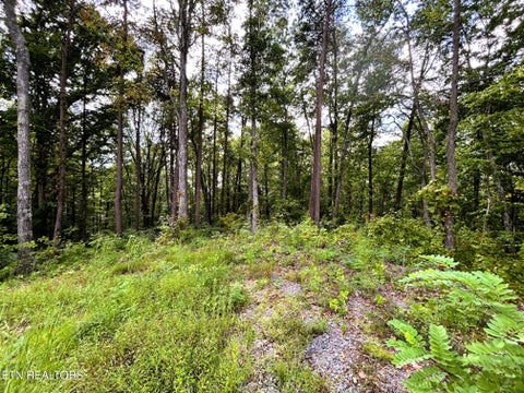 Tiny photo for 107 Chestnut Mountain Rd, Reliance, TN 37369 (MLS # 1359530)