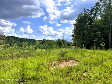 Tiny photo for 107 Chestnut Mountain Rd, Reliance, TN 37369 (MLS # 1359530)