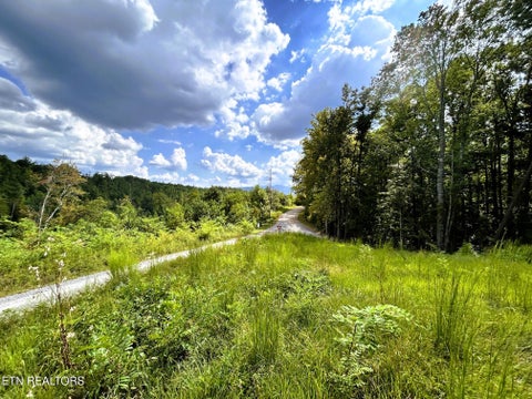 Tiny photo for 107 Chestnut Mountain Rd, Reliance, TN 37369 (MLS # 1359530)