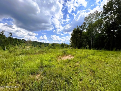 Tiny photo for 107 Chestnut Mountain Rd, Reliance, TN 37369 (MLS # 1359530)