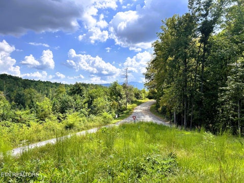 Tiny photo for 107 Chestnut Mountain Rd, Reliance, TN 37369 (MLS # 1359530)