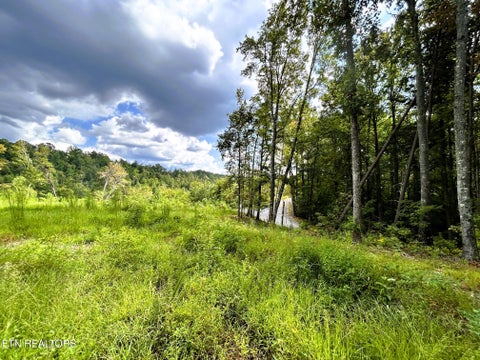 Tiny photo for 107 Chestnut Mountain Rd, Reliance, TN 37369 (MLS # 1359530)