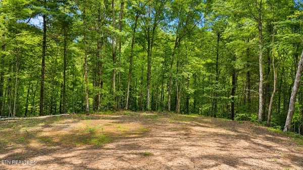 0 WILDERNESS TR, ONEIDA, TN 37841 - Image d5dc79f07af97b59c400d83780b2b659/2232235531