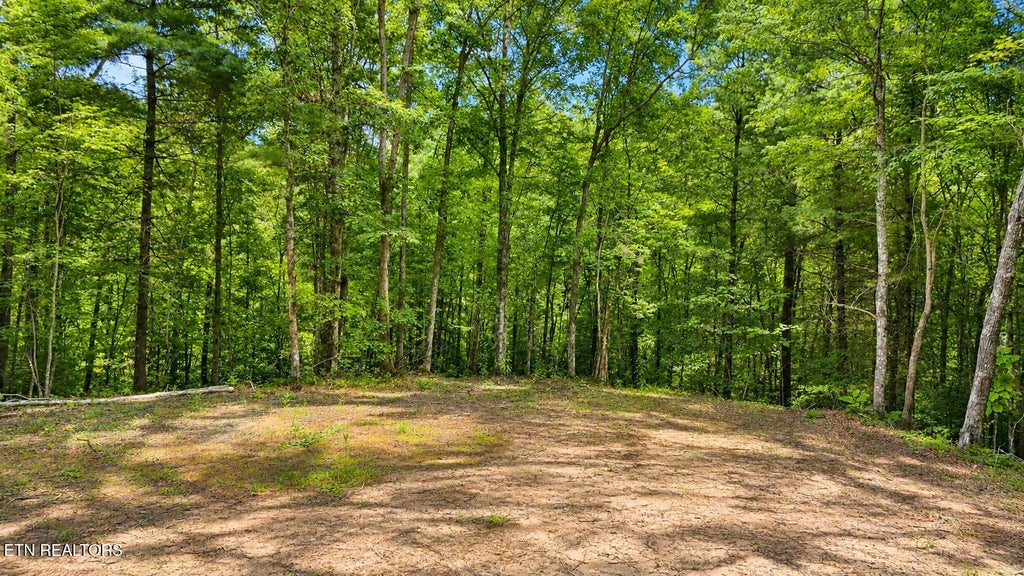 Photo of 0 Wilderness Tr, Oneida, TN 37841 (MLS # 1352424)