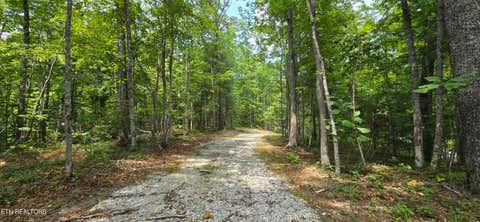 Photo of 0 Wilderness Tr, Oneida, TN 37841 (MLS # 1352424)