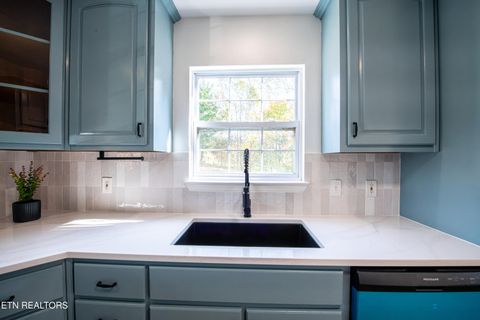 Tiny photo for 446 Timber Dr Drive, Dayton, TN 37321 (MLS # 1321369)