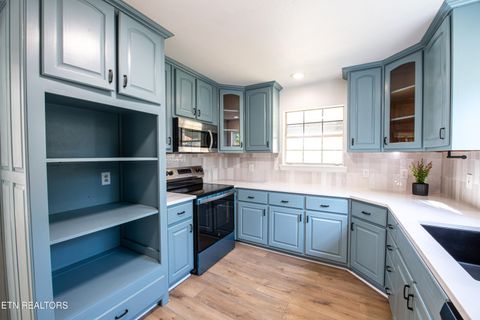 Tiny photo for 446 Timber Dr Drive, Dayton, TN 37321 (MLS # 1321369)