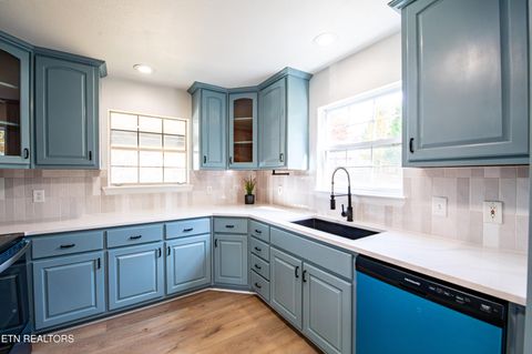 Tiny photo for 446 Timber Dr Drive, Dayton, TN 37321 (MLS # 1321369)