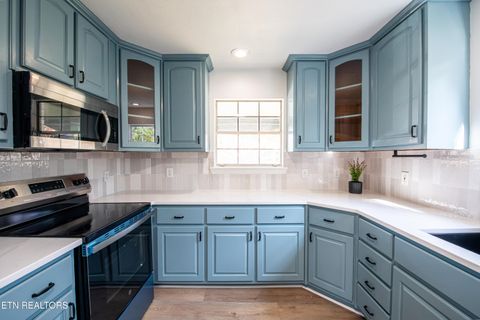 Tiny photo for 446 Timber Dr Drive, Dayton, TN 37321 (MLS # 1321369)